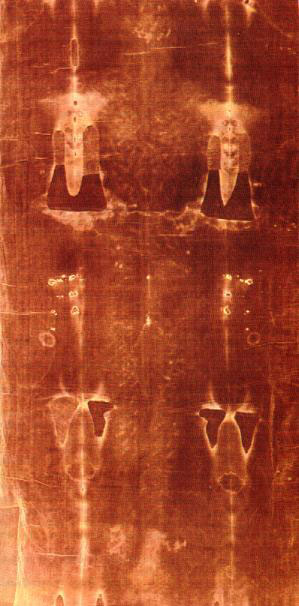 The photographic negative of the dorsal imprint.