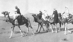 Laperrine leading a platoon of the camel mounted cavalry.